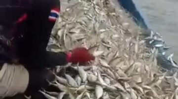 Pelindo Regional 1 Bawa Harapan Baru bagi Nelayan Batu Bara